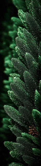 Free aesthetic bookmark featuring pine leaves sticking out